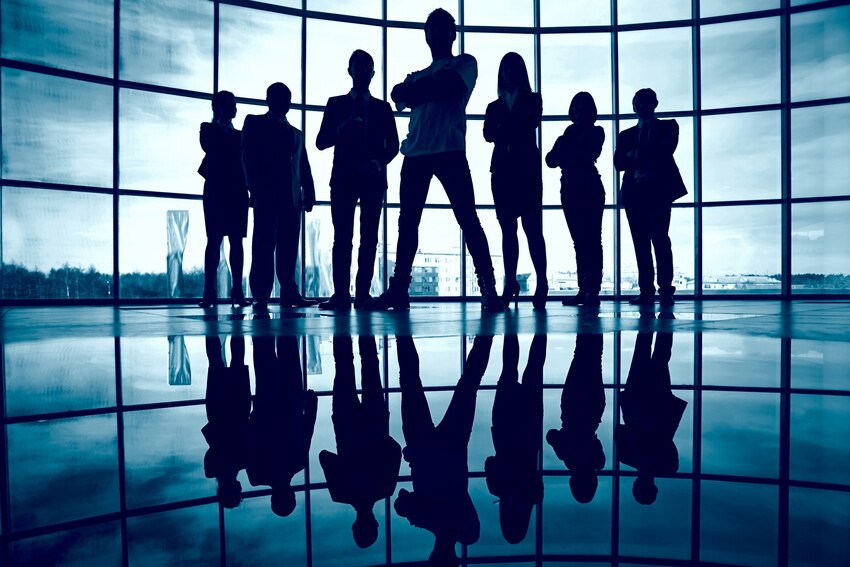 COMPANY FUNDAMENTALS